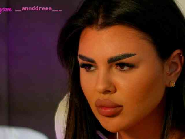 PerfectT33n webcam