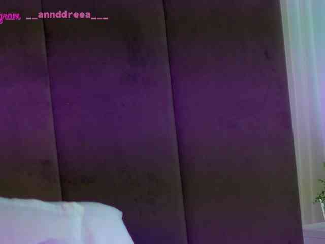 PerfectT33n webcam