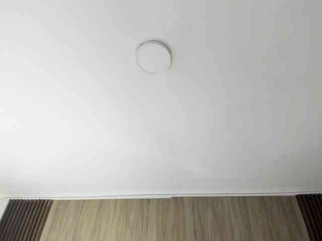 Scarletthomas webcam