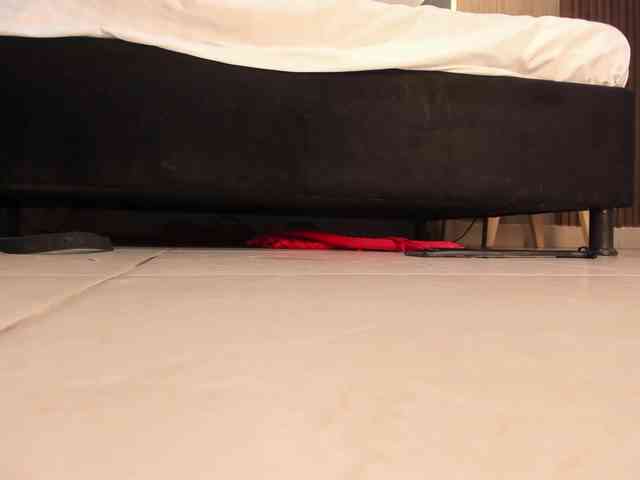Scarletthomas webcam