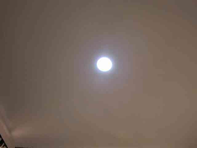 Scarletthomas webcam