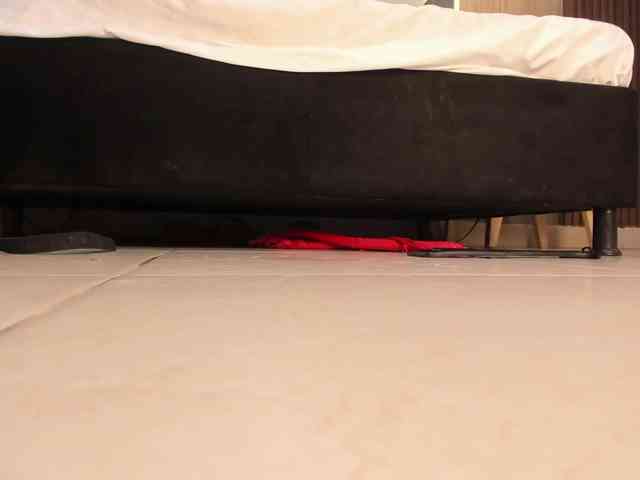 Scarletthomas webcam