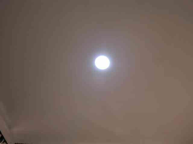Scarletthomas webcam
