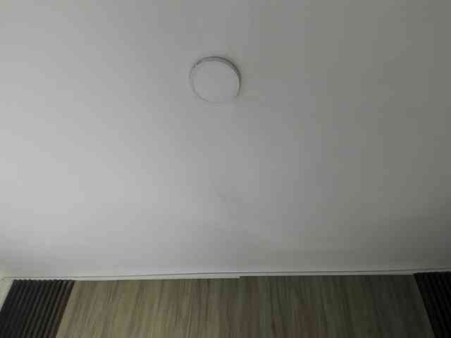 Scarletthomas webcam