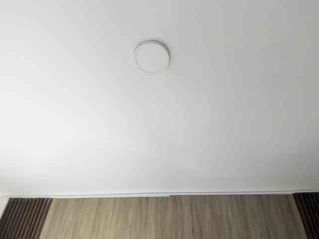 Scarletthomas webcam