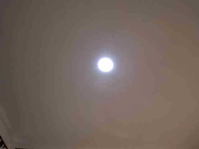 Scarletthomas webcam