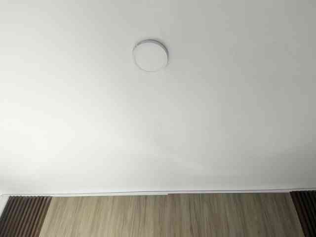 Scarletthomas webcam
