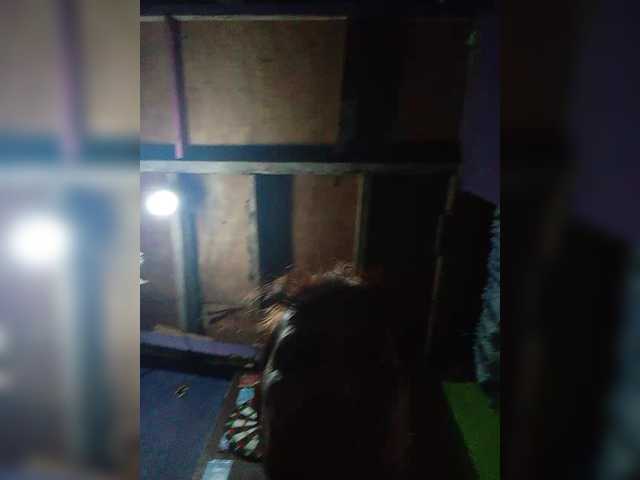 VelvetRose1 from BongaCams is Freechat