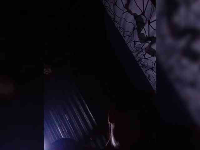 VelvetRose1 webcam