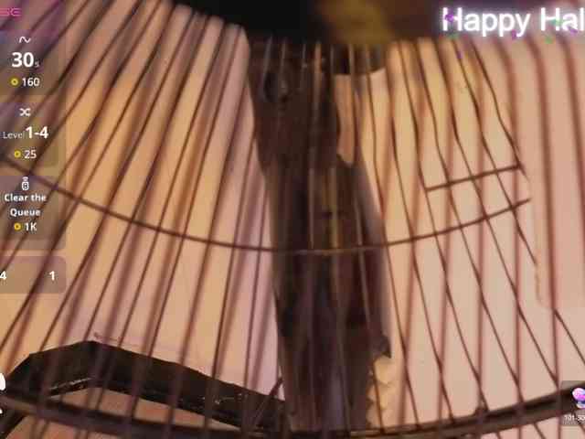 agattharosse webcam