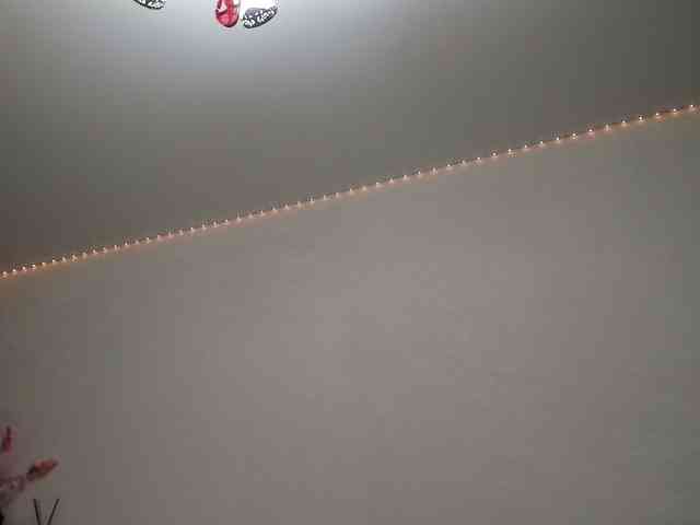 Shadow-Dance webcam