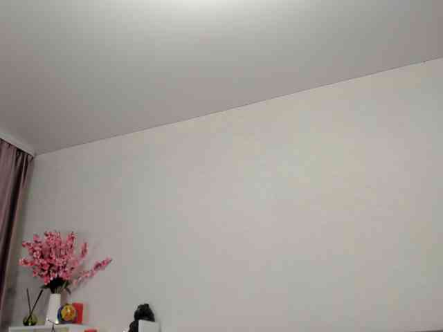 Shadow-Dance webcam