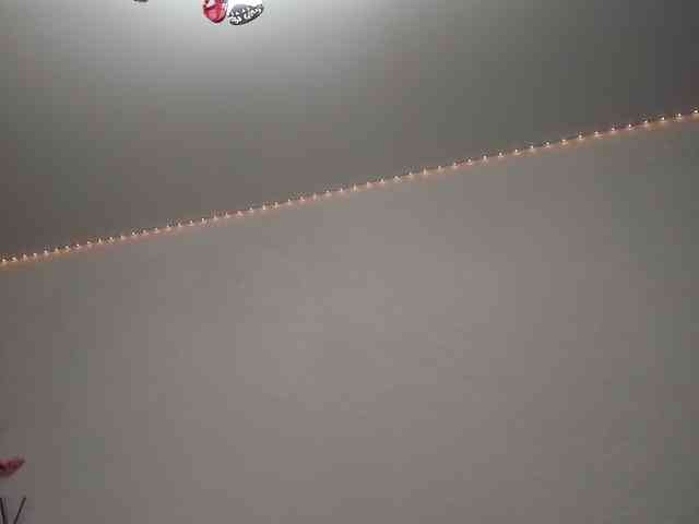 Shadow-Dance webcam