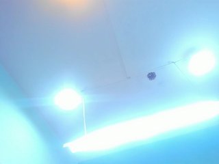 KattaleyaLuck Porn Show