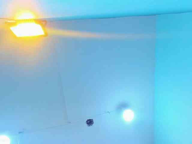 KattaleyaLuck KattaleyaLuck