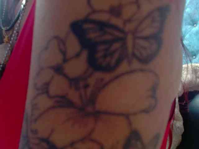 KattaleyaLuck webcam