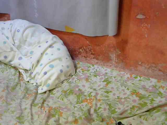 Prettydoll01 Live Webcam on BongaCams Prettydoll01 Live Webcam on BongaCams