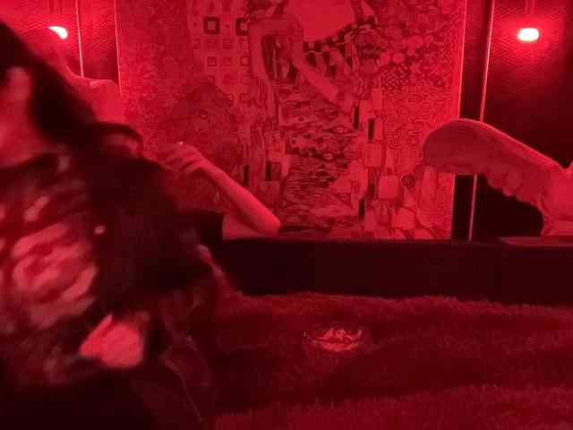 Coupleludique webcam