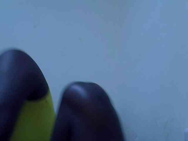 adara-lee webcam