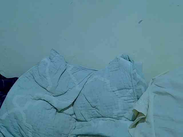 adara-lee webcam