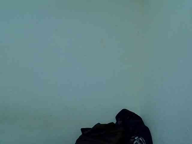 adara-lee webcam