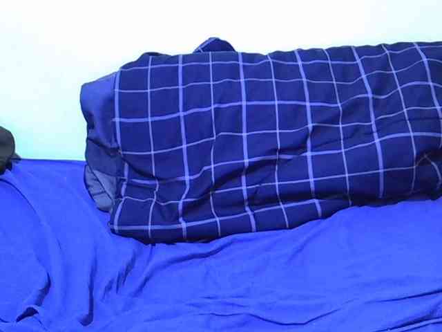 adara-lee webcam