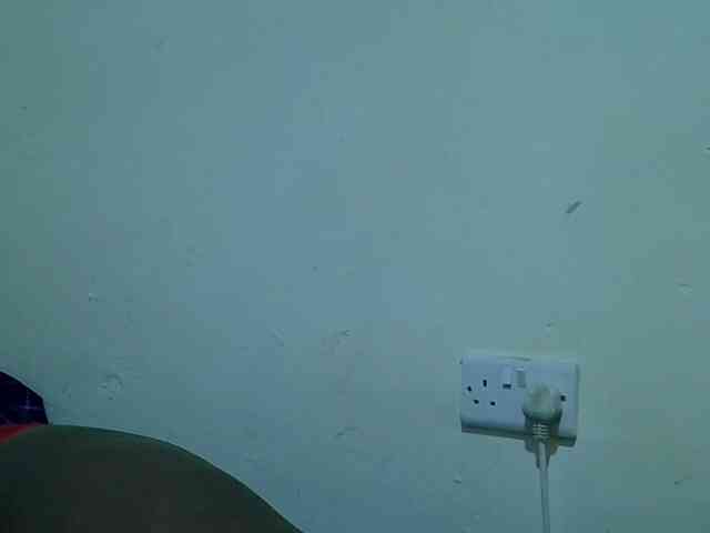 adara-lee webcam
