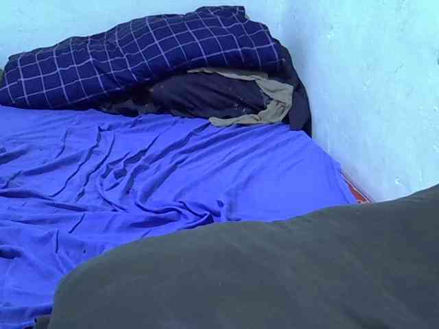adara-lee webcam