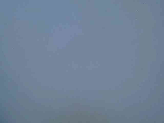 adara-lee webcam