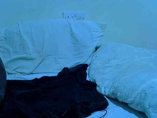 adara-lee webcam