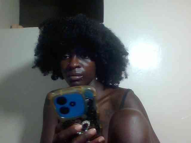 Miss-cookie Miss-cookie