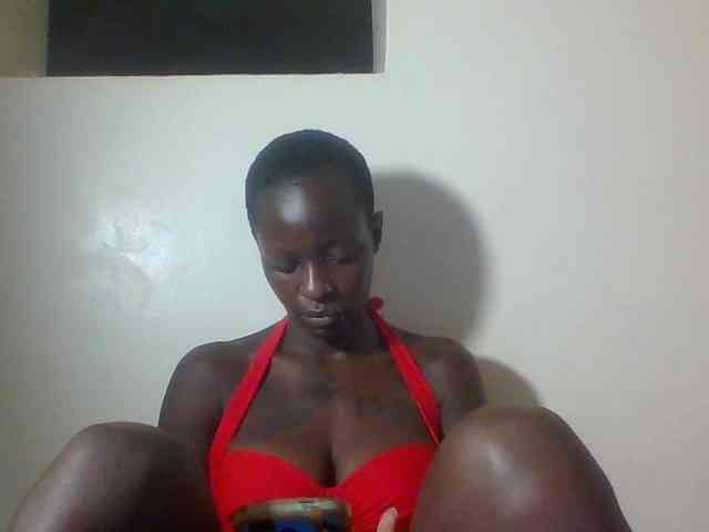 Miss-cookie Miss-cookie