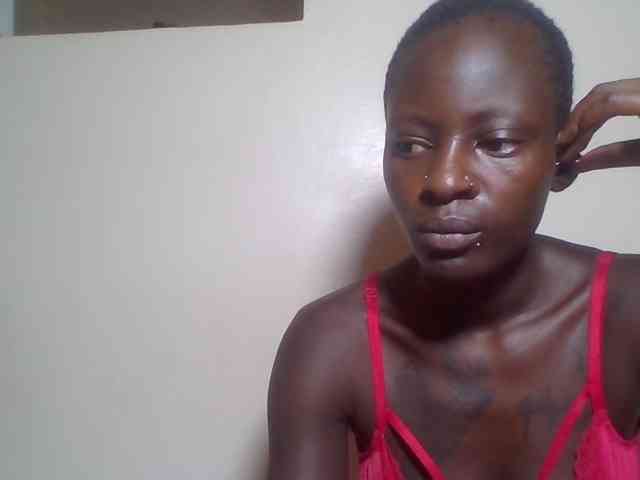 Miss-cookie Miss-cookie