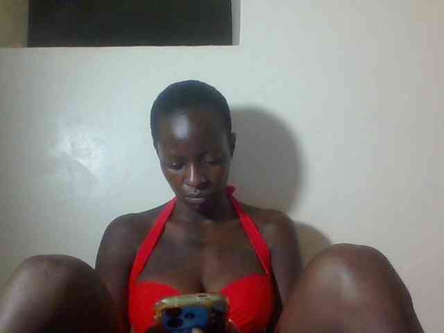 Miss-cookie Miss-cookie