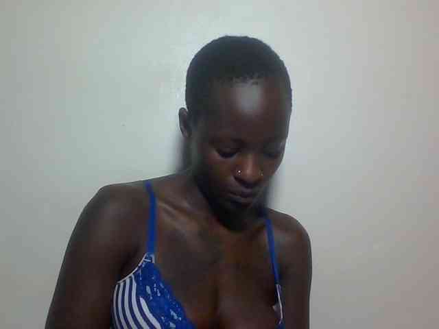 Miss-cookie Miss-cookie