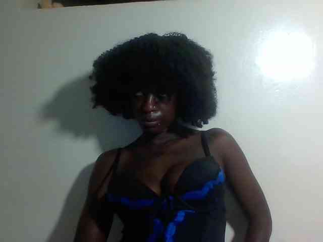 Miss-cookie Miss-cookie