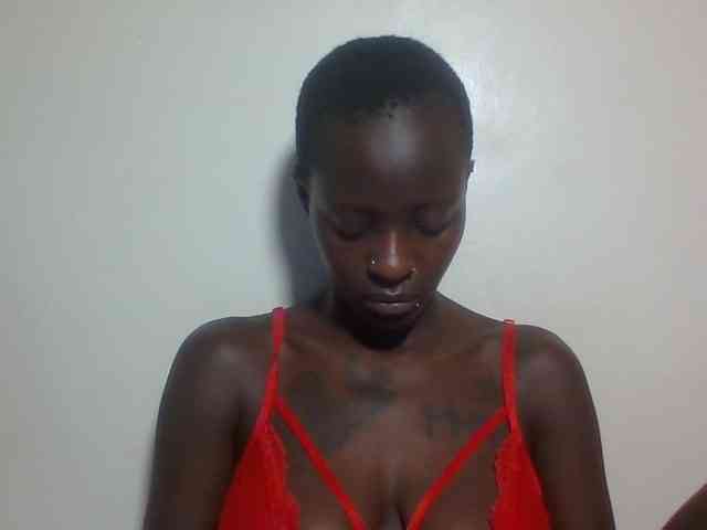 Miss-cookie Miss-cookie