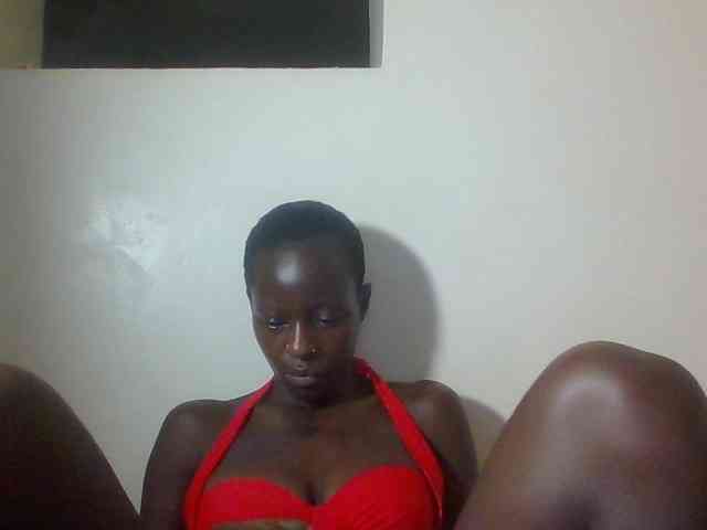 Miss-cookie Miss-cookie