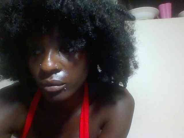 Miss-cookie Miss-cookie