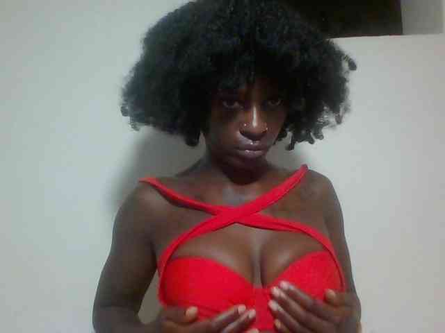 Miss-cookie Miss-cookie