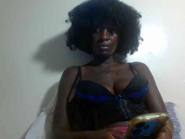 Miss-cookie Miss-cookie