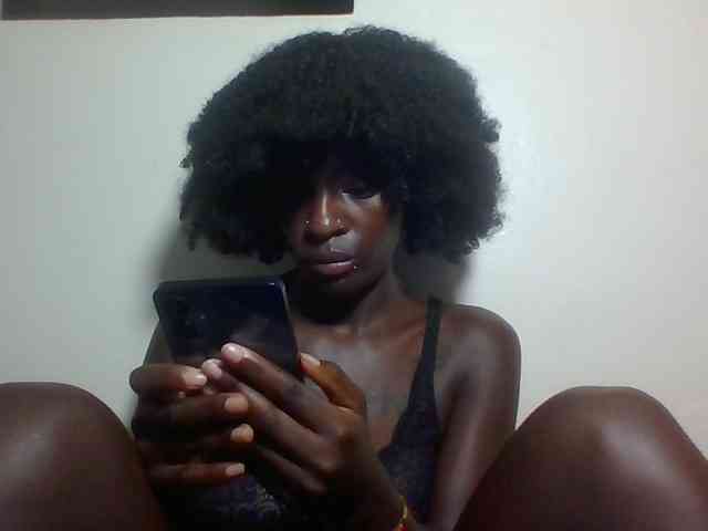 Miss-cookie Miss-cookie