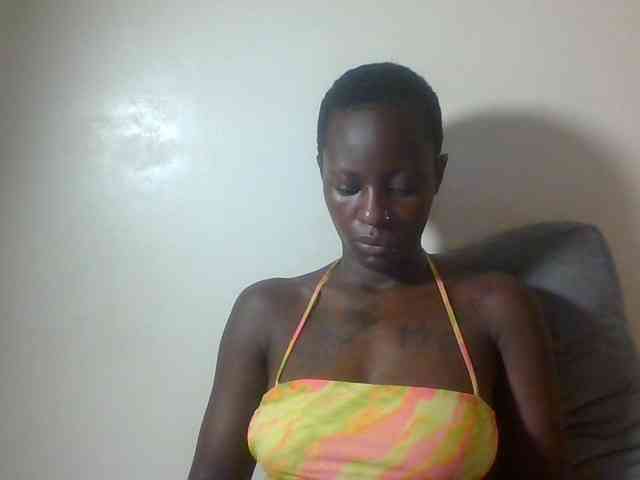 Miss-cookie Miss-cookie