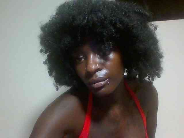 Miss-cookie Miss-cookie