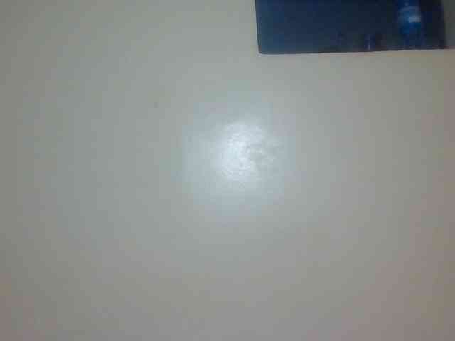 Miss-cookie Miss-cookie