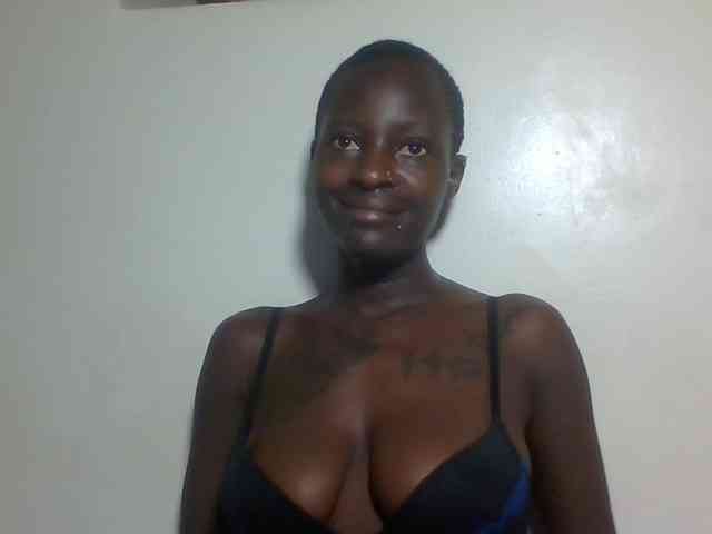 Miss-cookie Miss-cookie