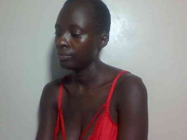 Miss-cookie Miss-cookie