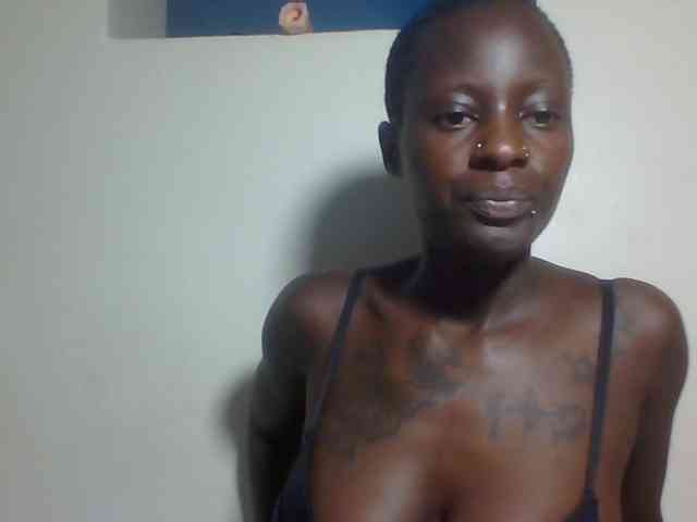 Miss-cookie Miss-cookie