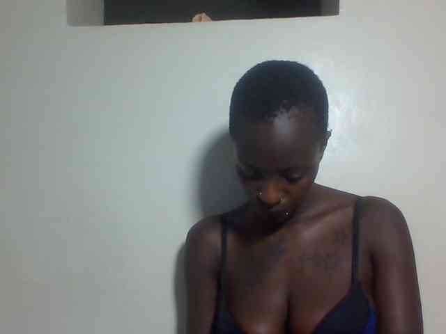 Miss-cookie Miss-cookie