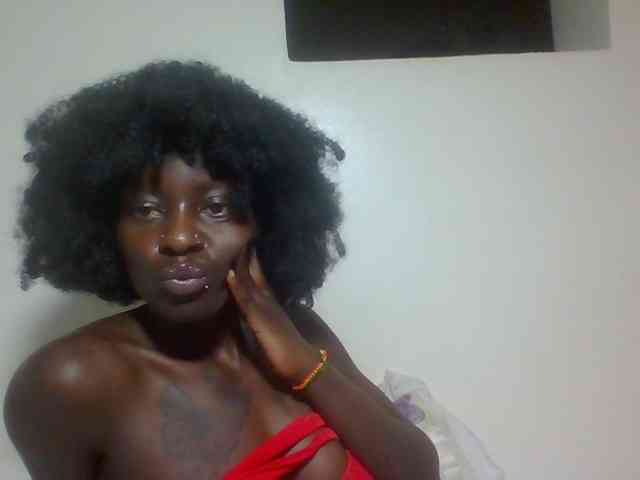 Miss-cookie Miss-cookie